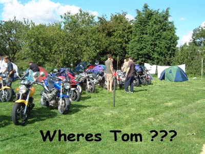 DesperatelyseekingTom